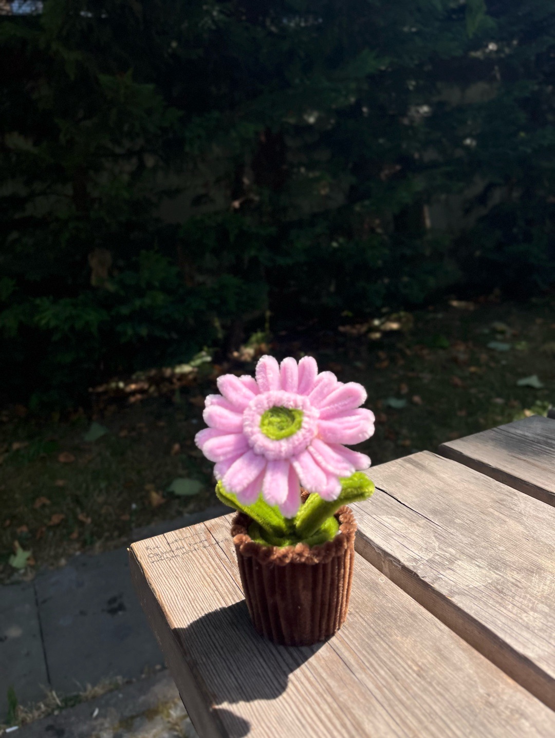 sonil-cicek-pembe