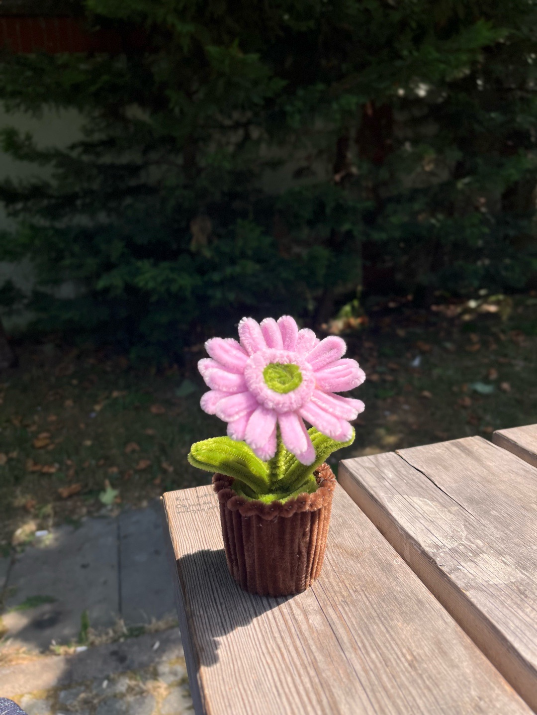 sonil-cicek-pembe