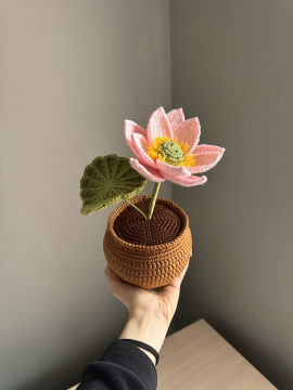 Örgü Saksıda Dev Lotus Pastel Pembe