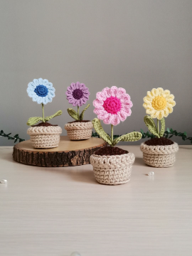 Mini Renkli Papatya Saksı Çiçeği Pembe