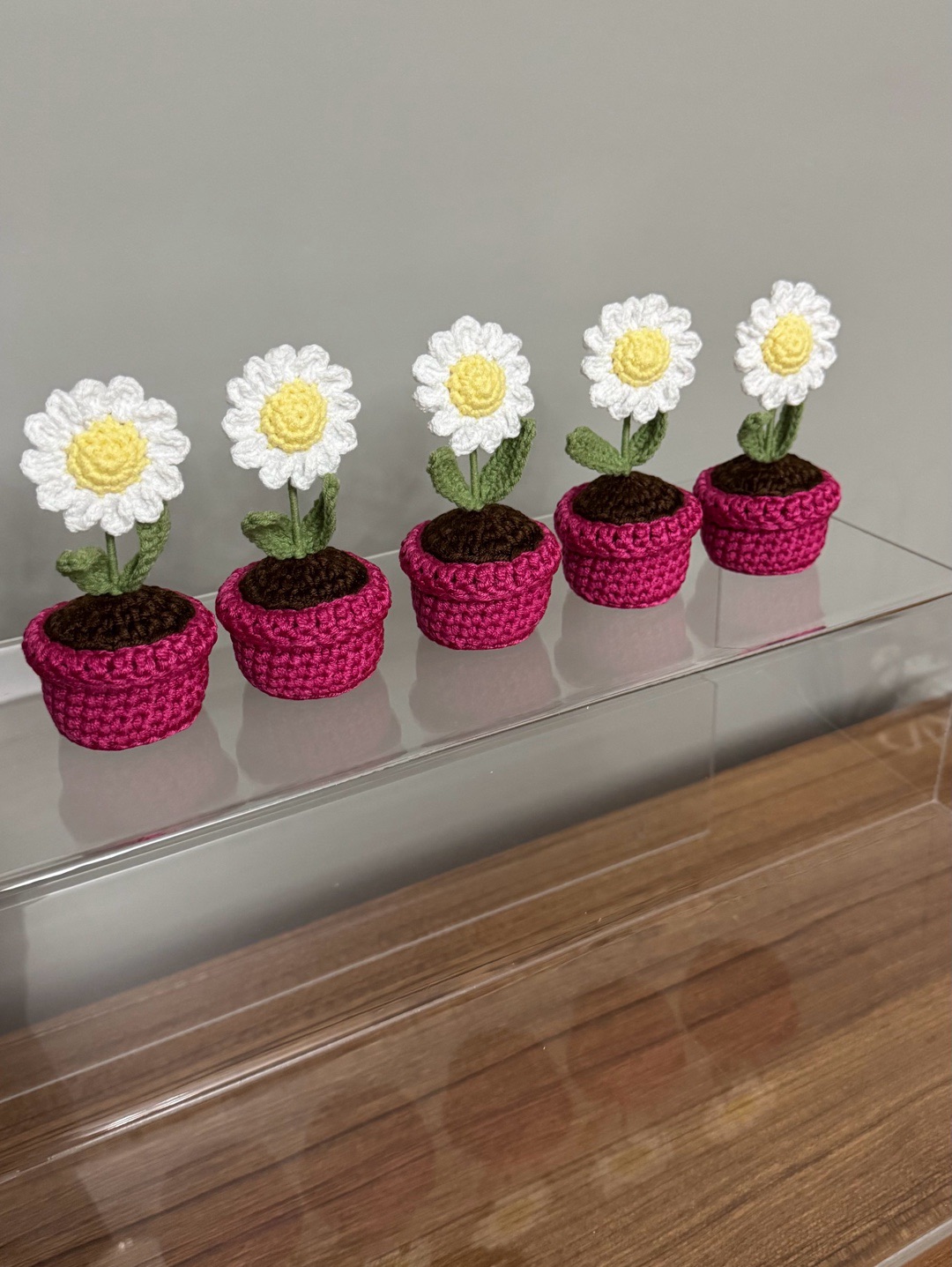 orgu-mini-pembe-saksida-papatya-fusya