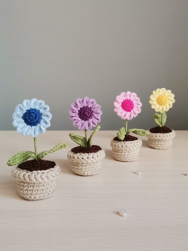 Mini Renkli Papatya Saksı Çiçeği Mavi