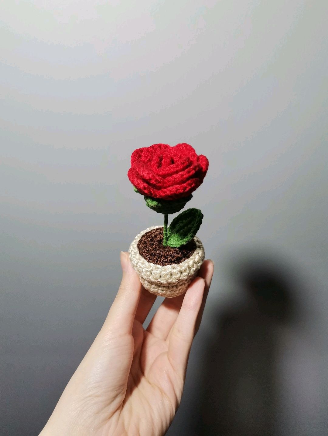 mini-saksi-gul-kirmizi