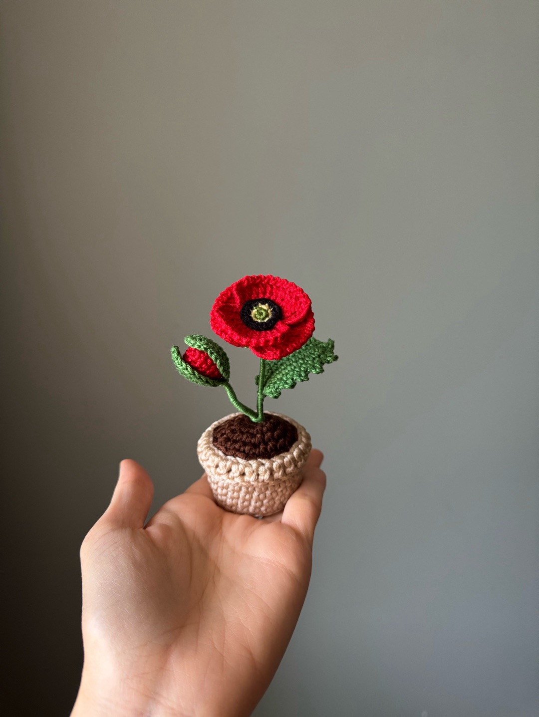 mini-saksida-gelincik-kirmizi