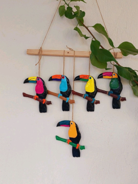 Tukan Kuşu 5li Set