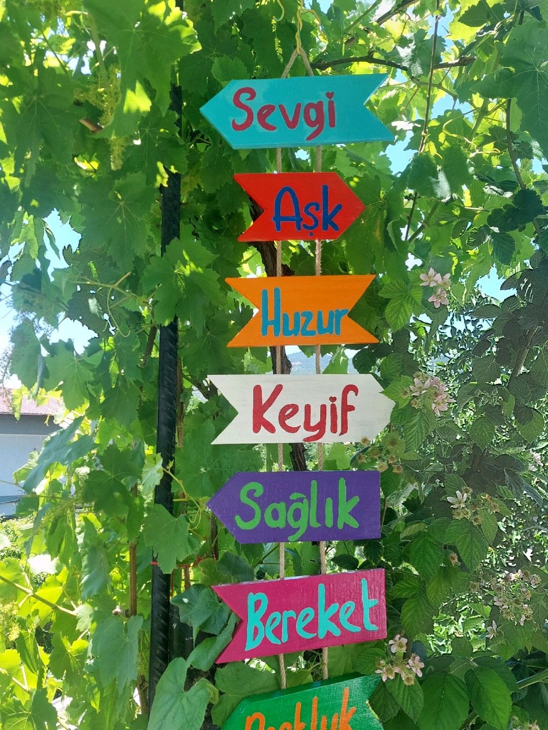 yon-oklari-yon-tabelasi-cok-renkli