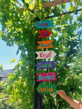 Yön Okları Yön Tabelası Çok Renkli