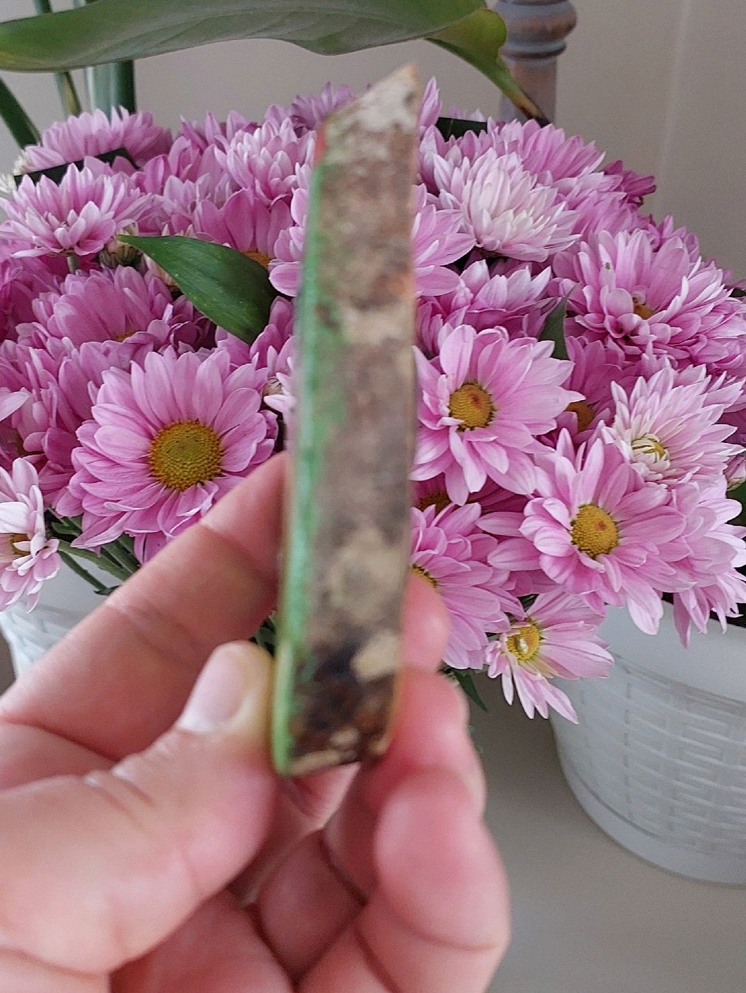 avokado-magnet-yesil