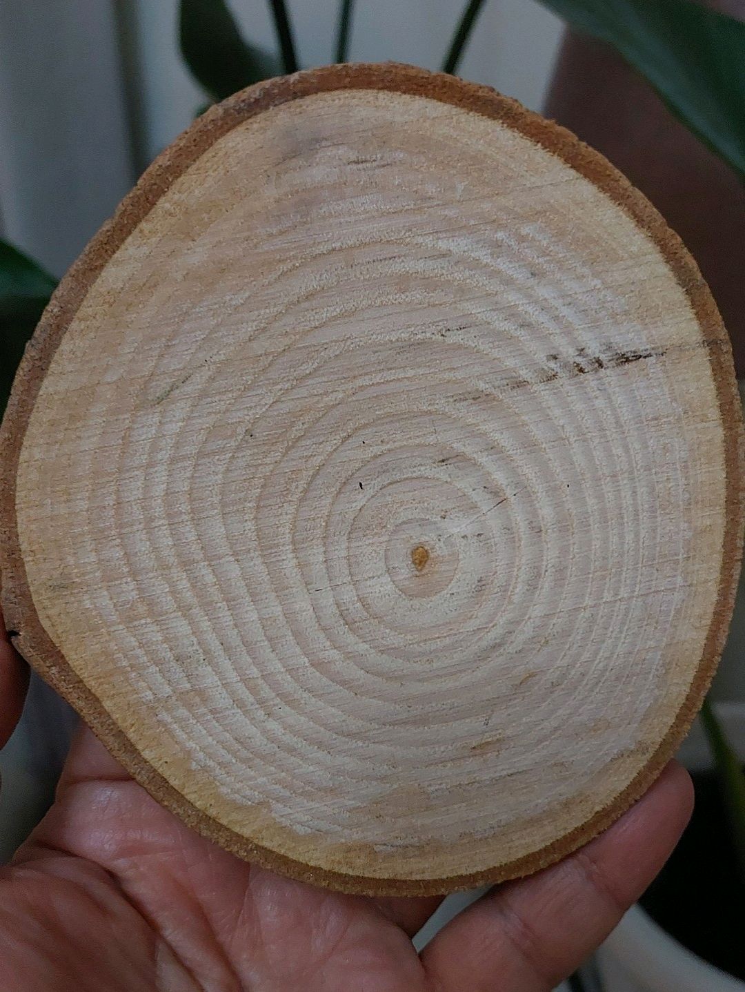 kahveci-kiz-bardak-altligi-cok-renkli