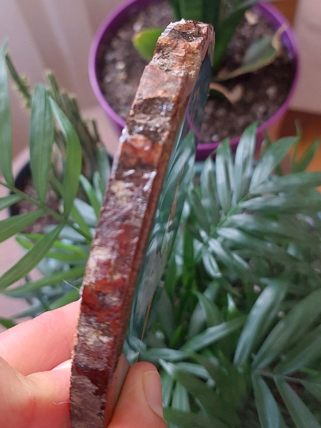 balerin-cok-renkli