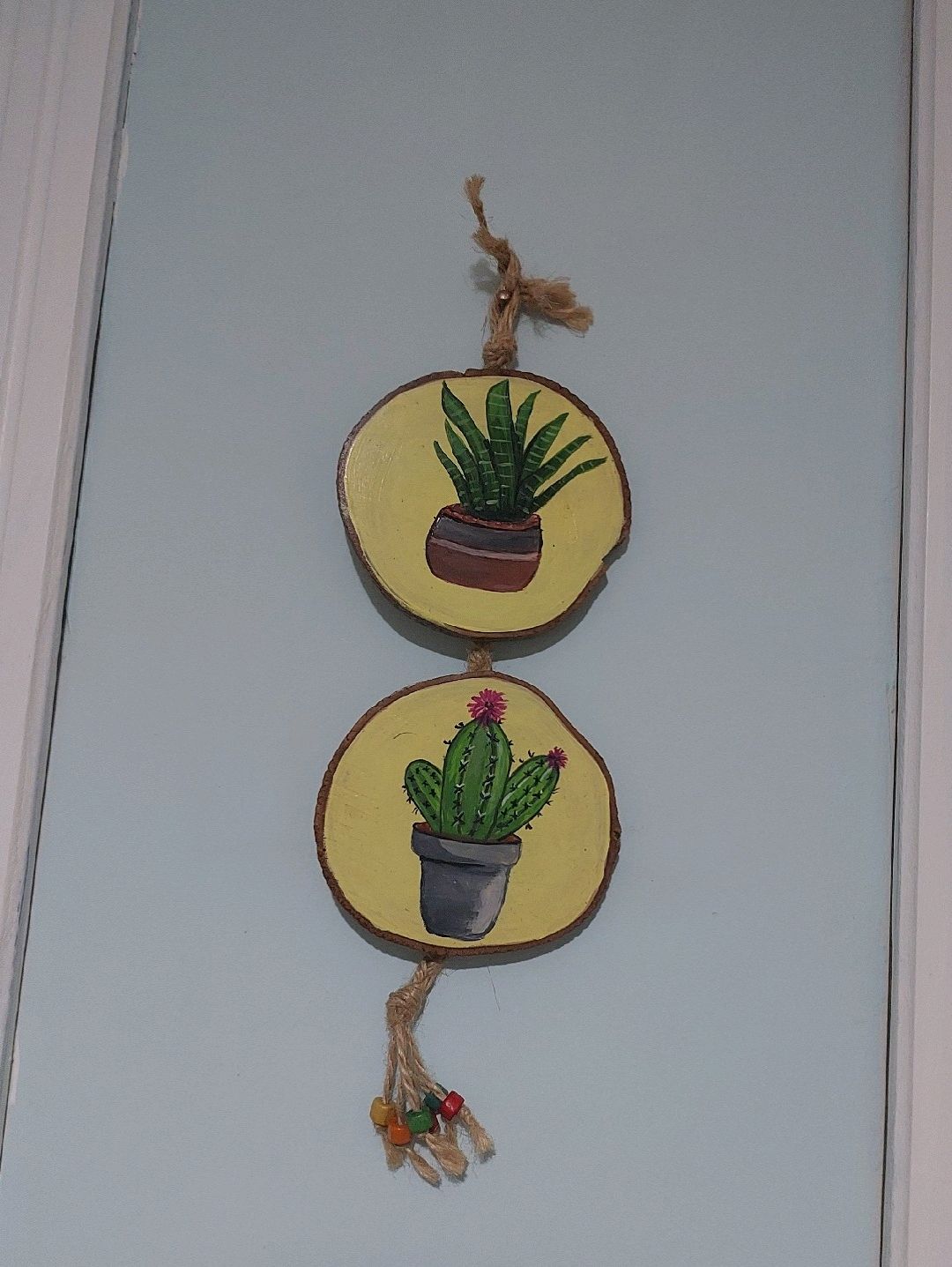ikili-kaktus-duvar-susu-cok-renkli