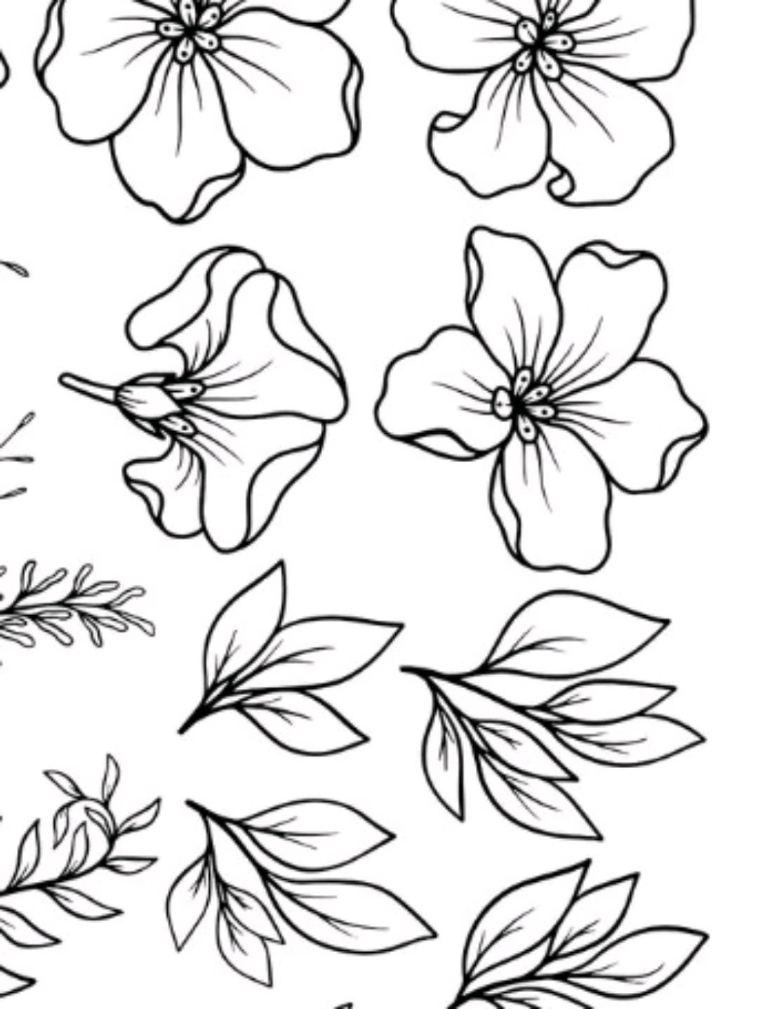 black-flower-lines-sticker-cikartma-cok-renkli