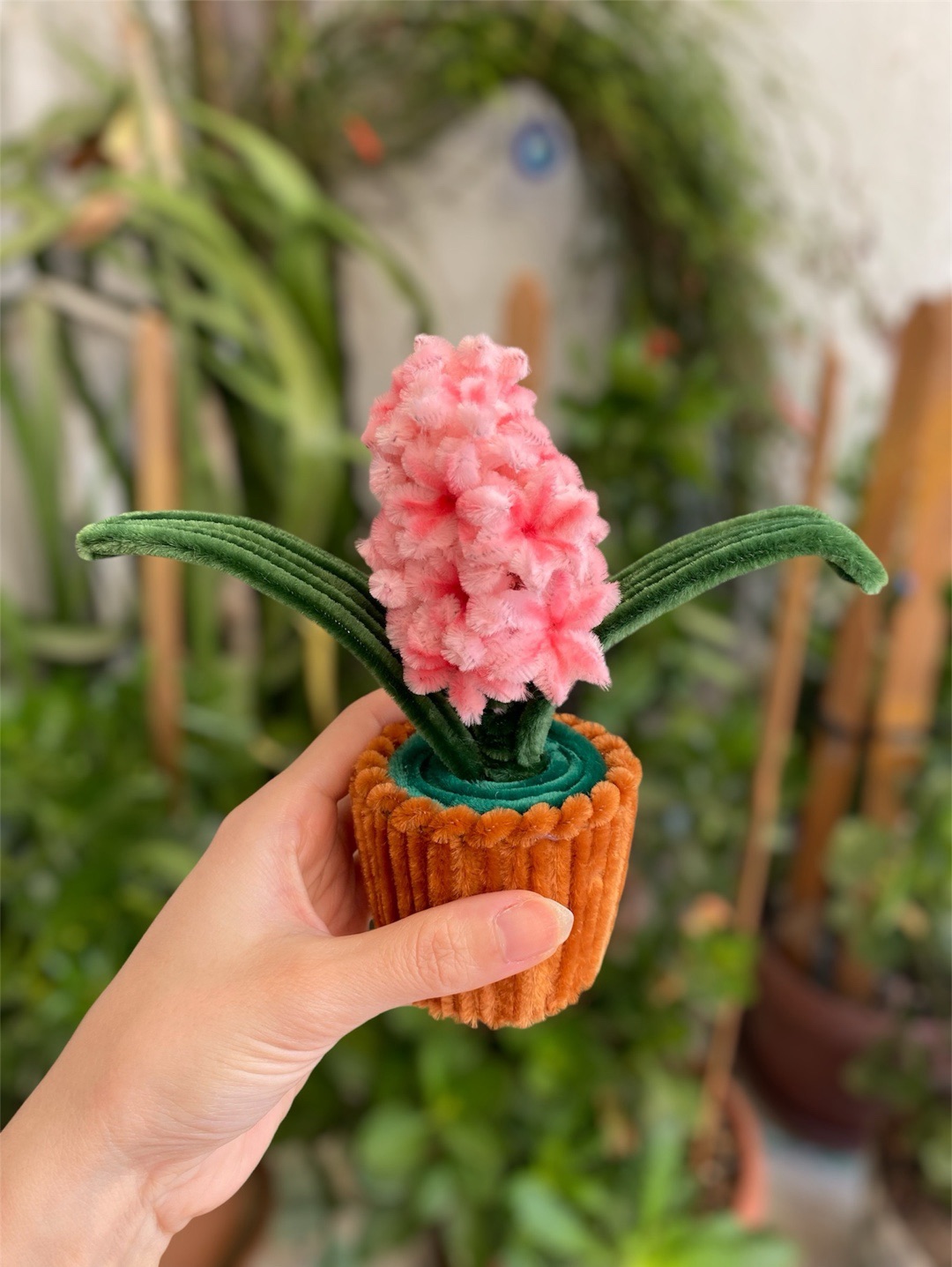 sumbul-minik-saksi-cicegi-pembe