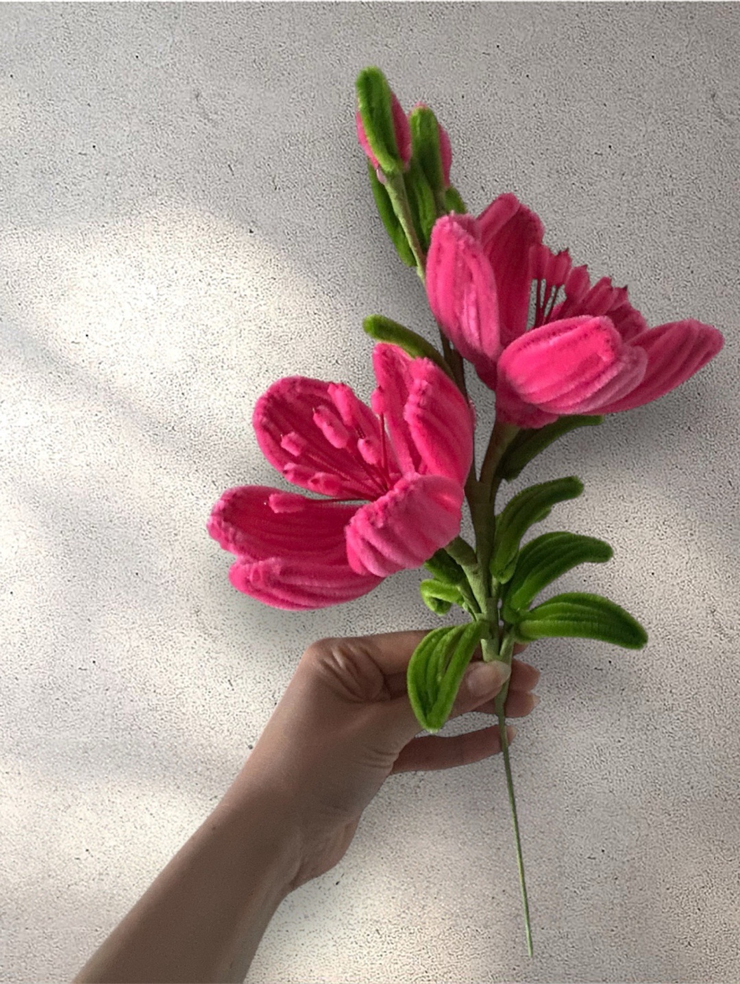 buyuk-sonil-cicek-koyu-pembe