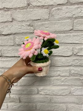 Gerbera Ve Papatya Minik Saksı Çiçeği Pastel Pembe