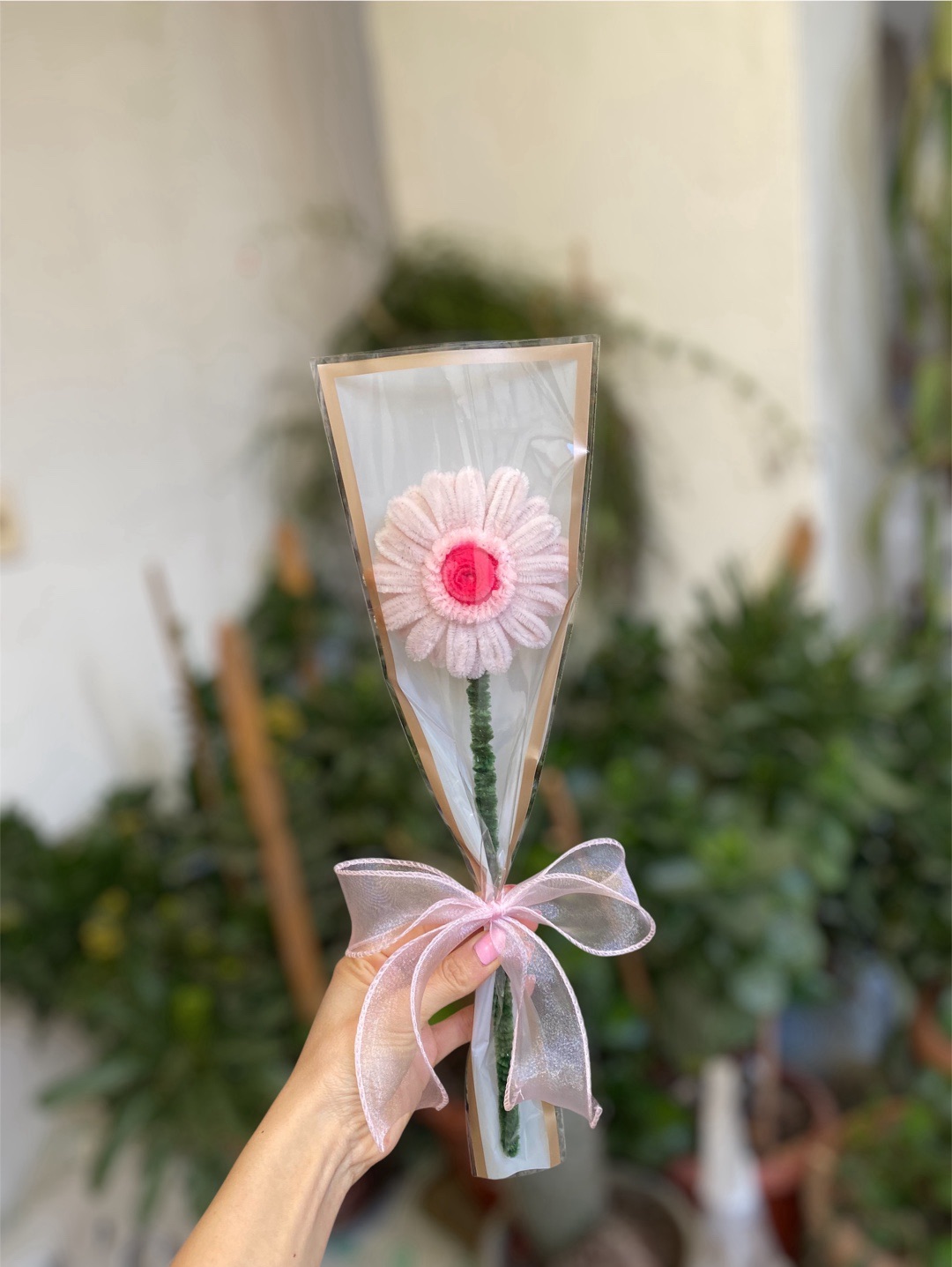 gerbera-soluk-pembe