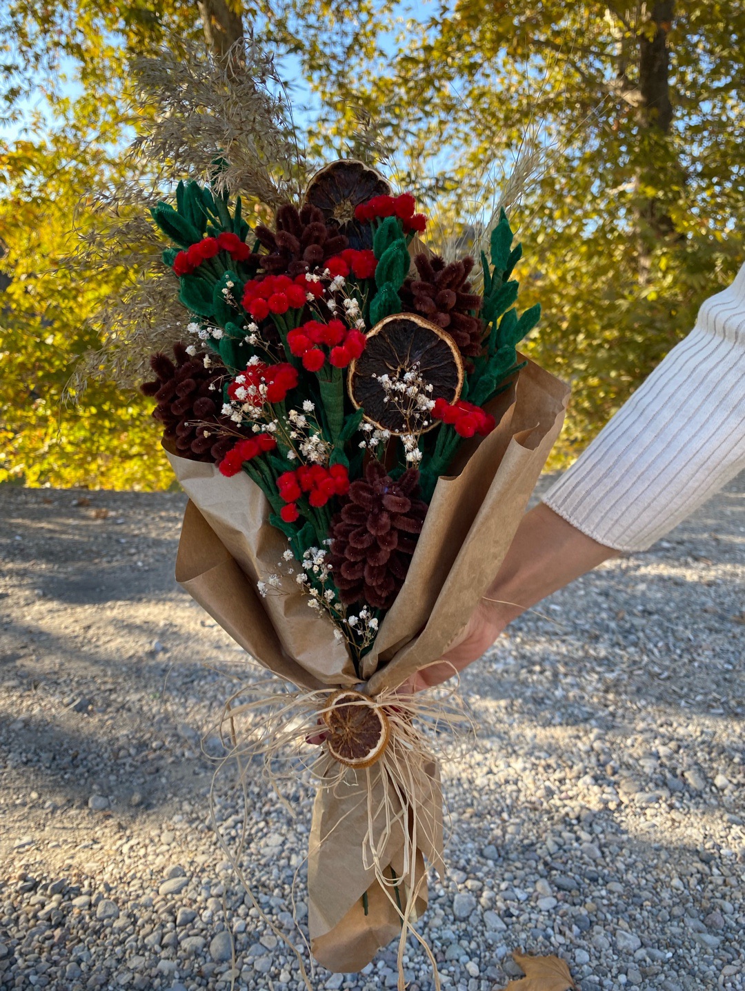 kokina-yilbasi-cicegi-kirmizi