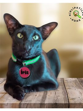 Kedi Ve Köpek Epoksi Madalyon Künye İsimlik Karekodlu Beyaz