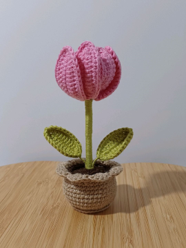 Mini Saksı Sürpriz Lale  Pembe