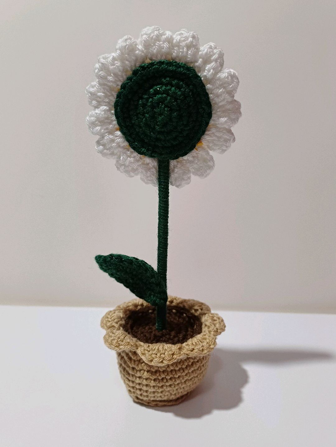 mini-saksi-papatya-beyaz