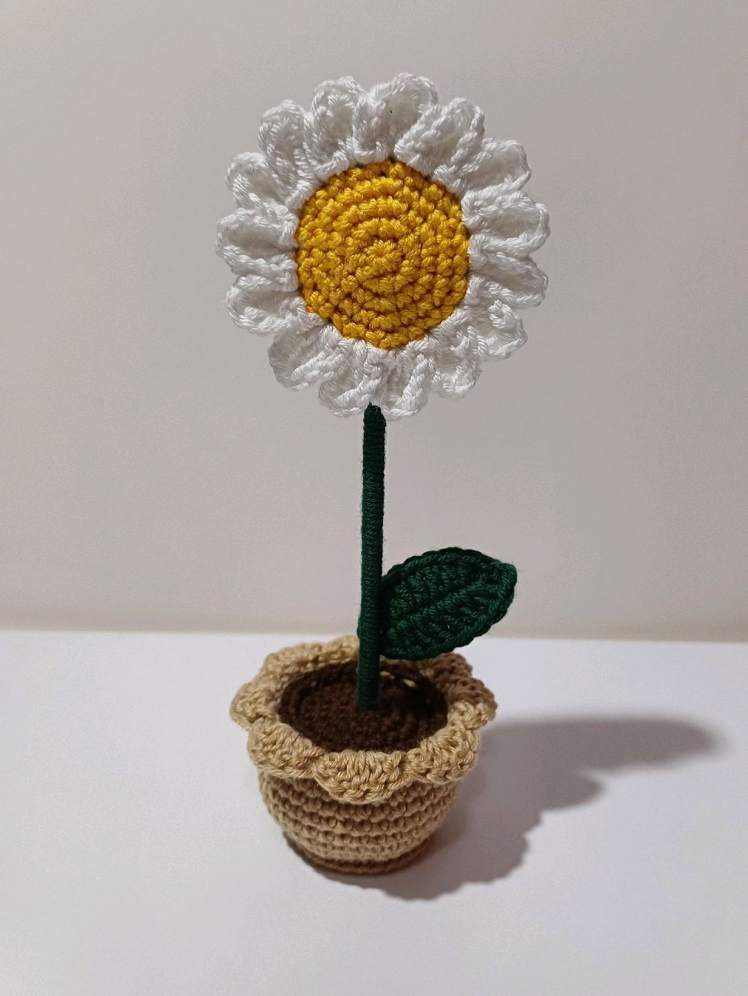 mini-saksi-papatya-beyaz