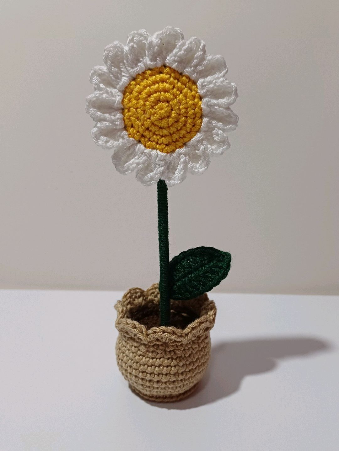 mini-saksi-papatya-beyaz