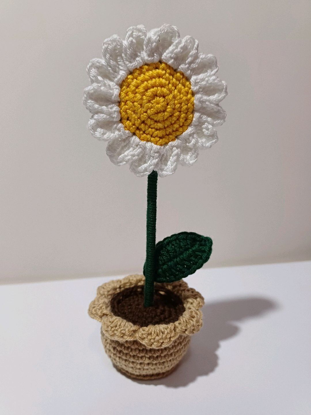mini-saksi-papatya-beyaz