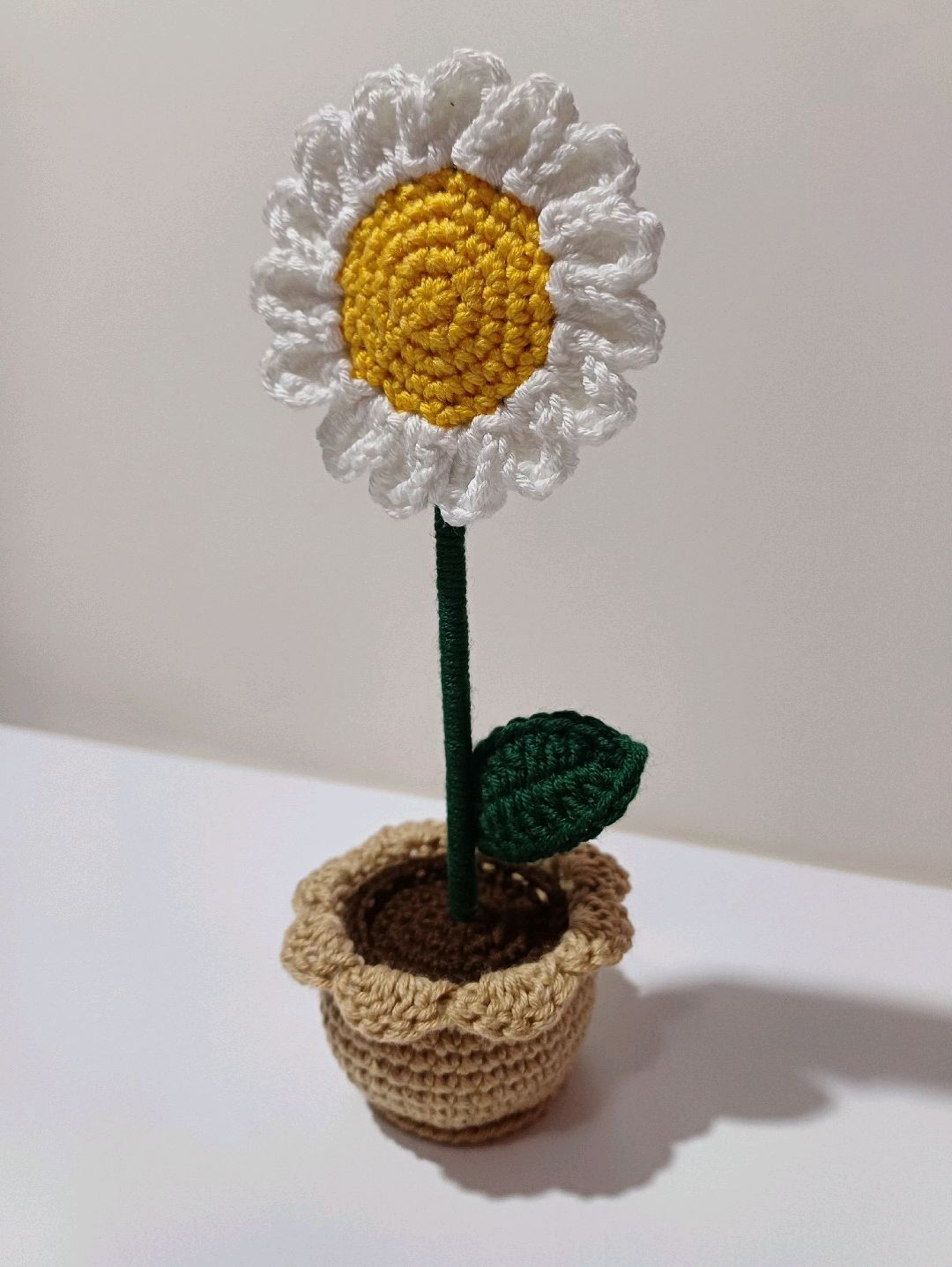 mini-saksi-papatya-beyaz