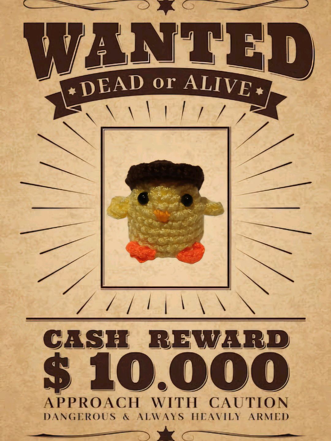 wanted-chick-sari