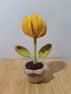 Mini Saksı Sürpriz Lale Sarı
