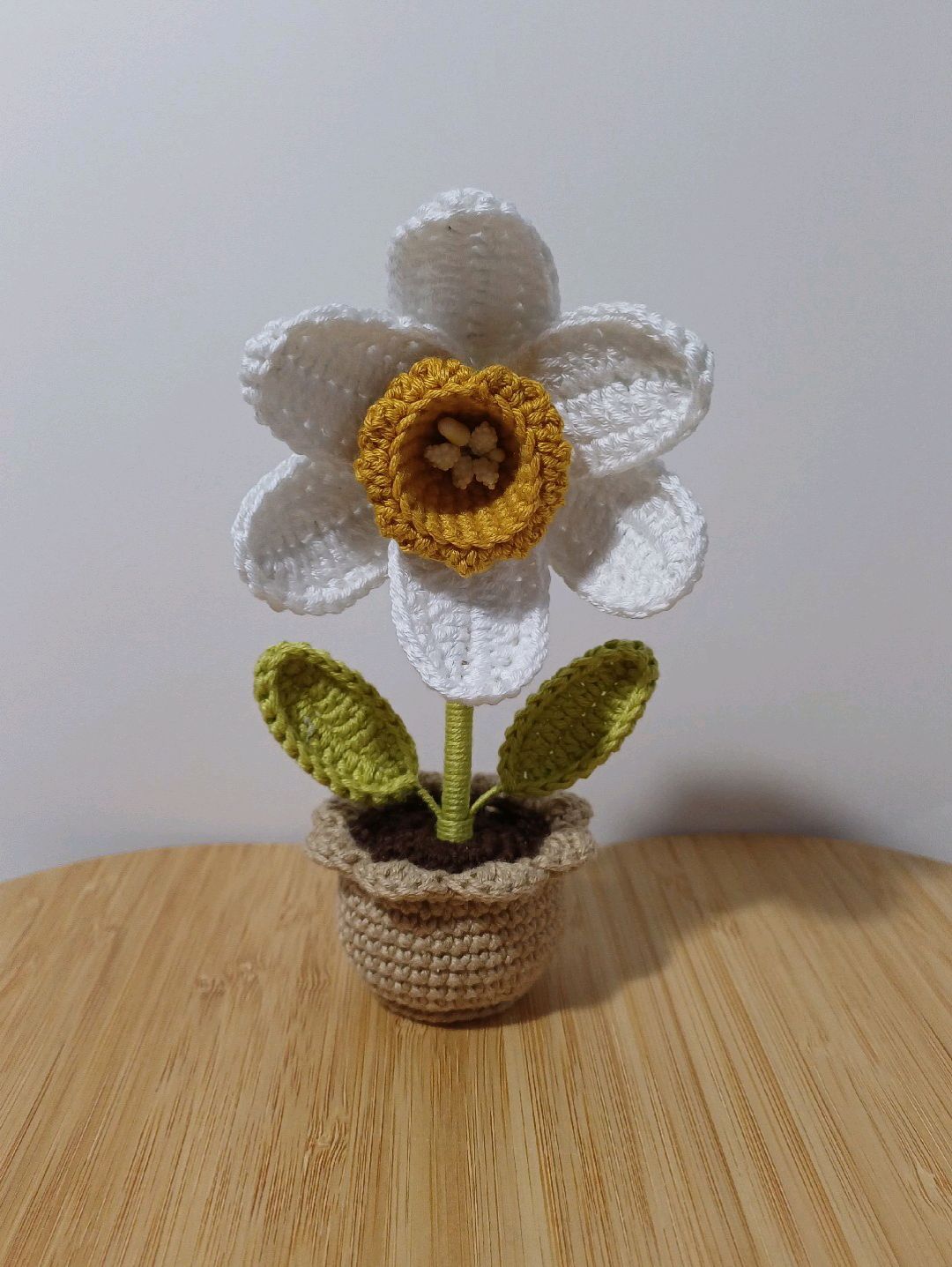 mini-saksi-buyuk-nergis-cok-renkli