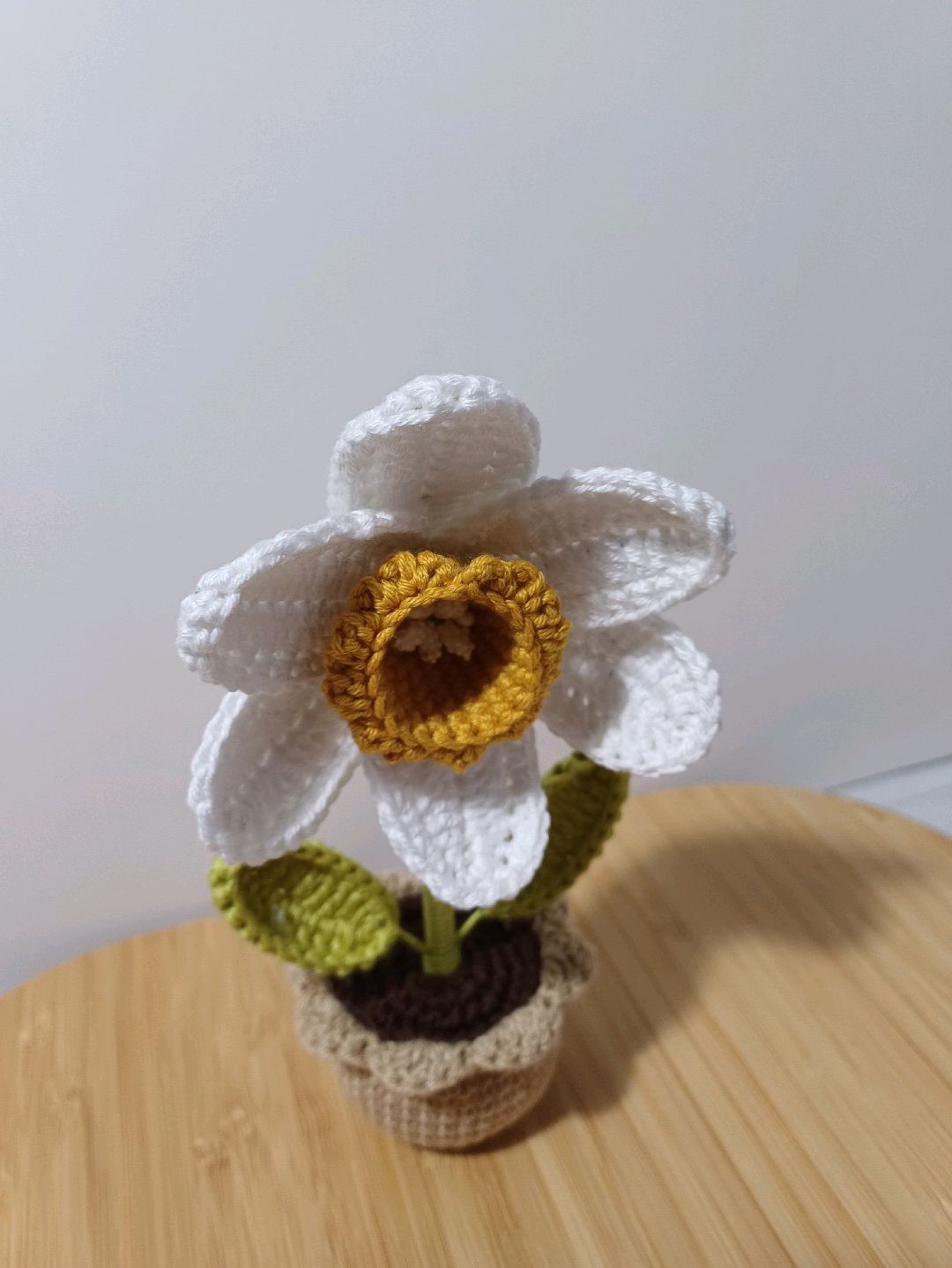 mini-saksi-buyuk-nergis-cok-renkli