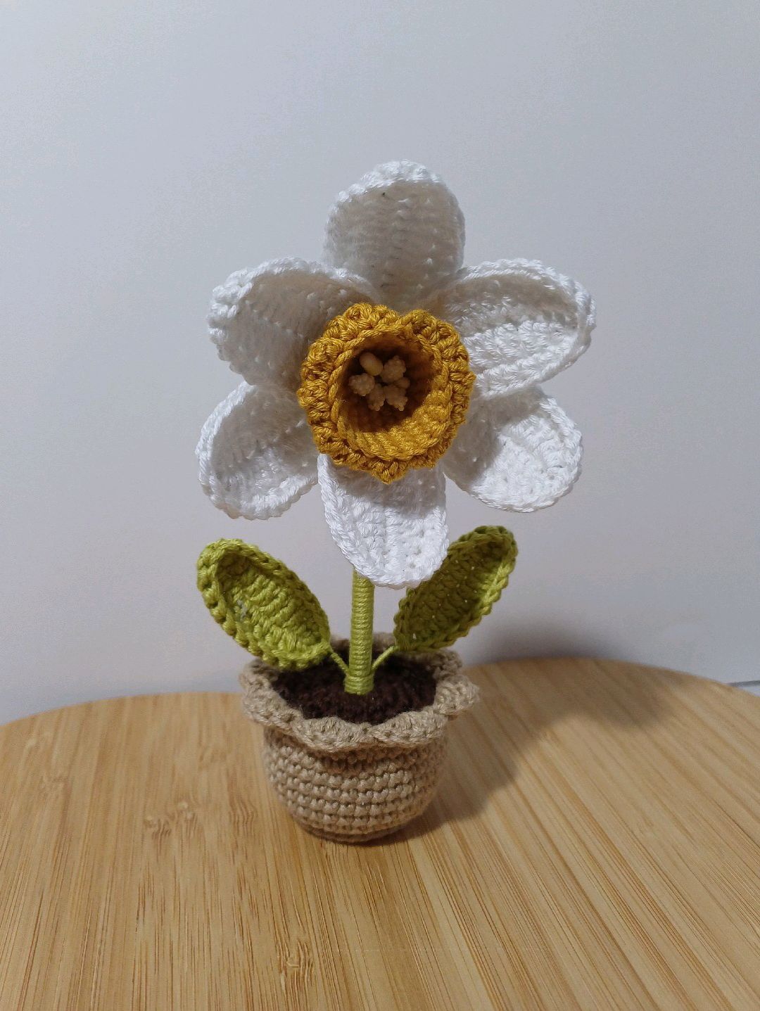 mini-saksi-buyuk-nergis-cok-renkli