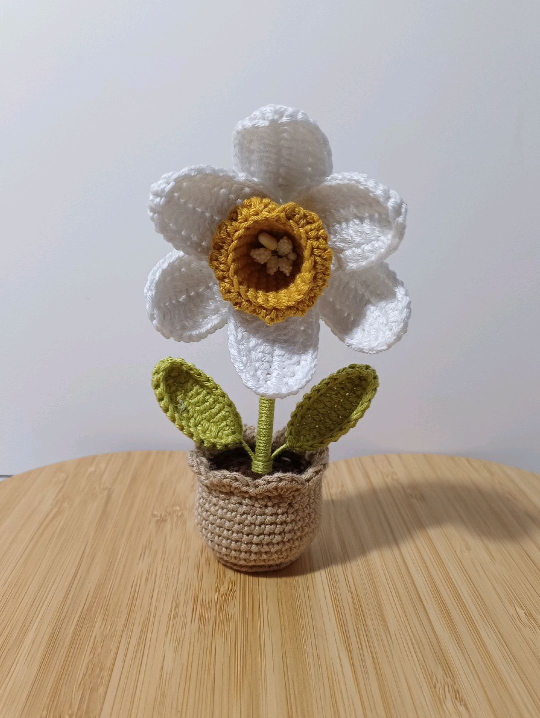 mini-saksi-buyuk-nergis-cok-renkli
