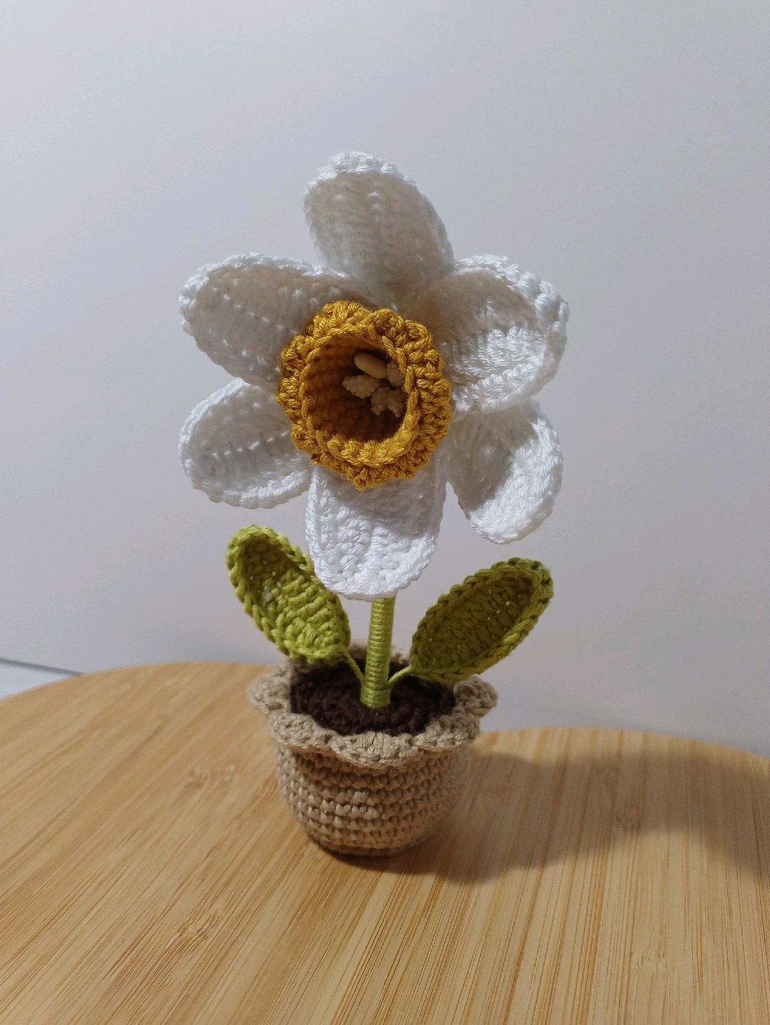 mini-saksi-buyuk-nergis-cok-renkli