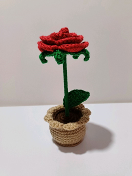 Mini Saksı Kırmızı Gül Kırmızı