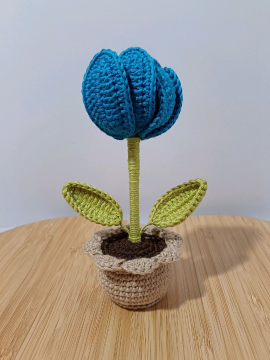 Mini Saksı Sürpriz Lale Koyu Mavi