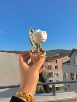 El Örgüsü Saksı Lale Beyaz