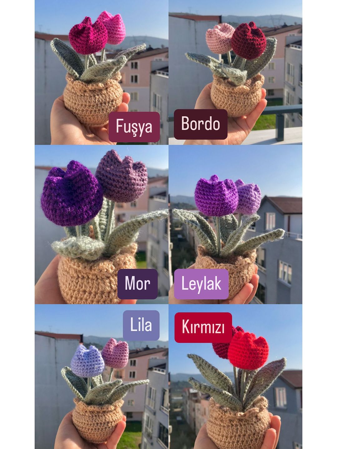 orgu-saksi-lale-camgobegi