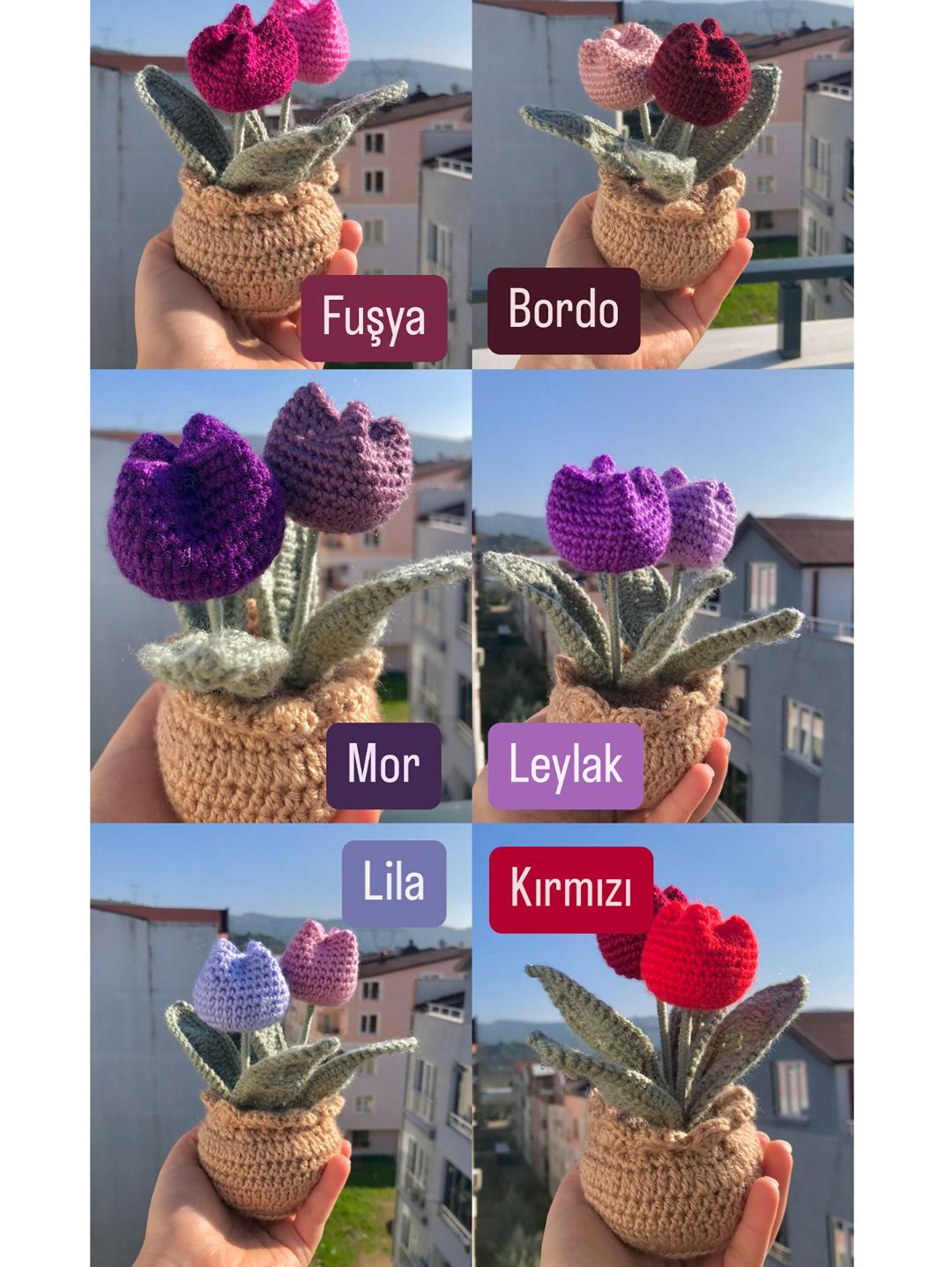 lale-saksi-el-orgusu-fusya
