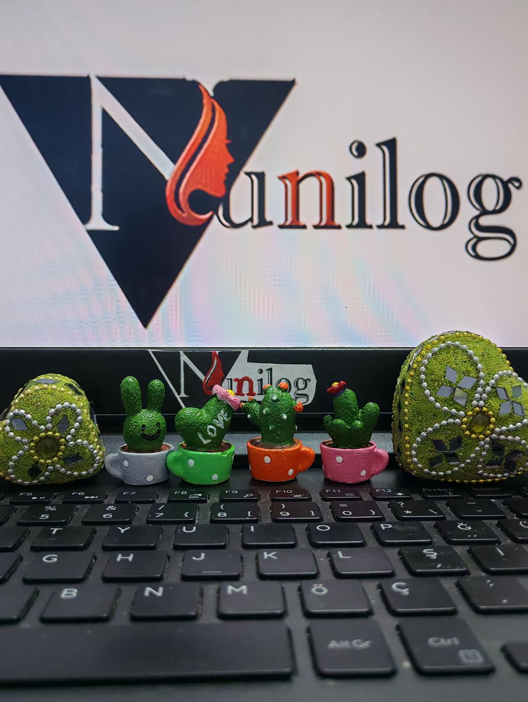 nunilog-mini-kaktus-cok-renkli