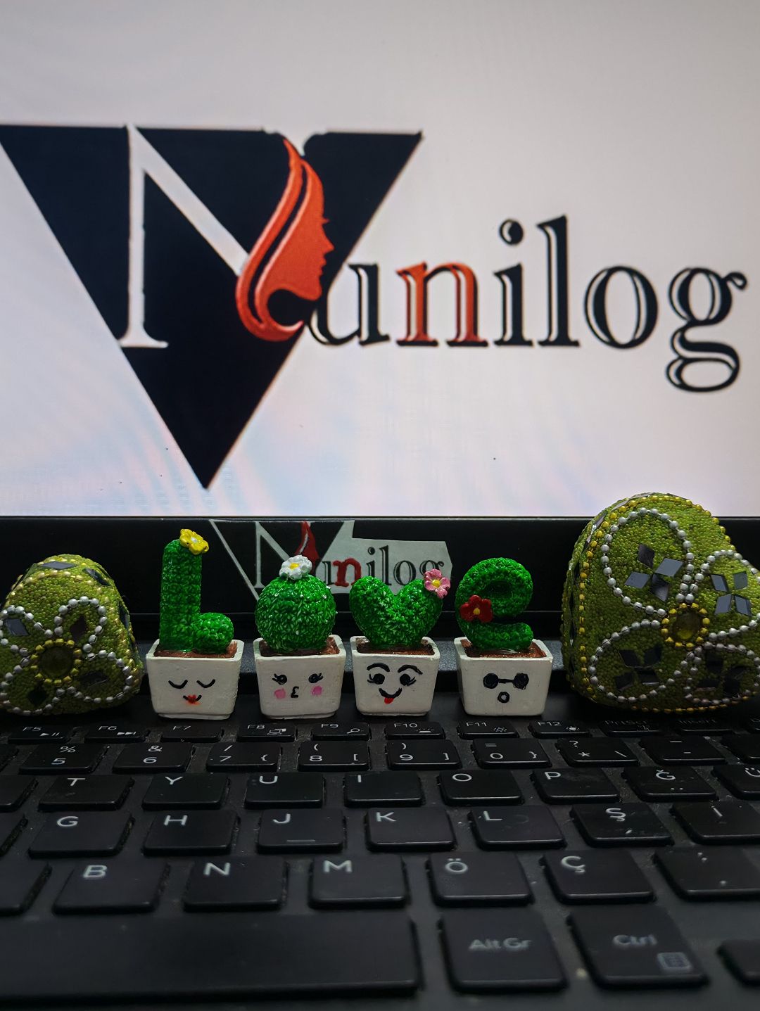nunilog-love-kaktus-cok-renkli