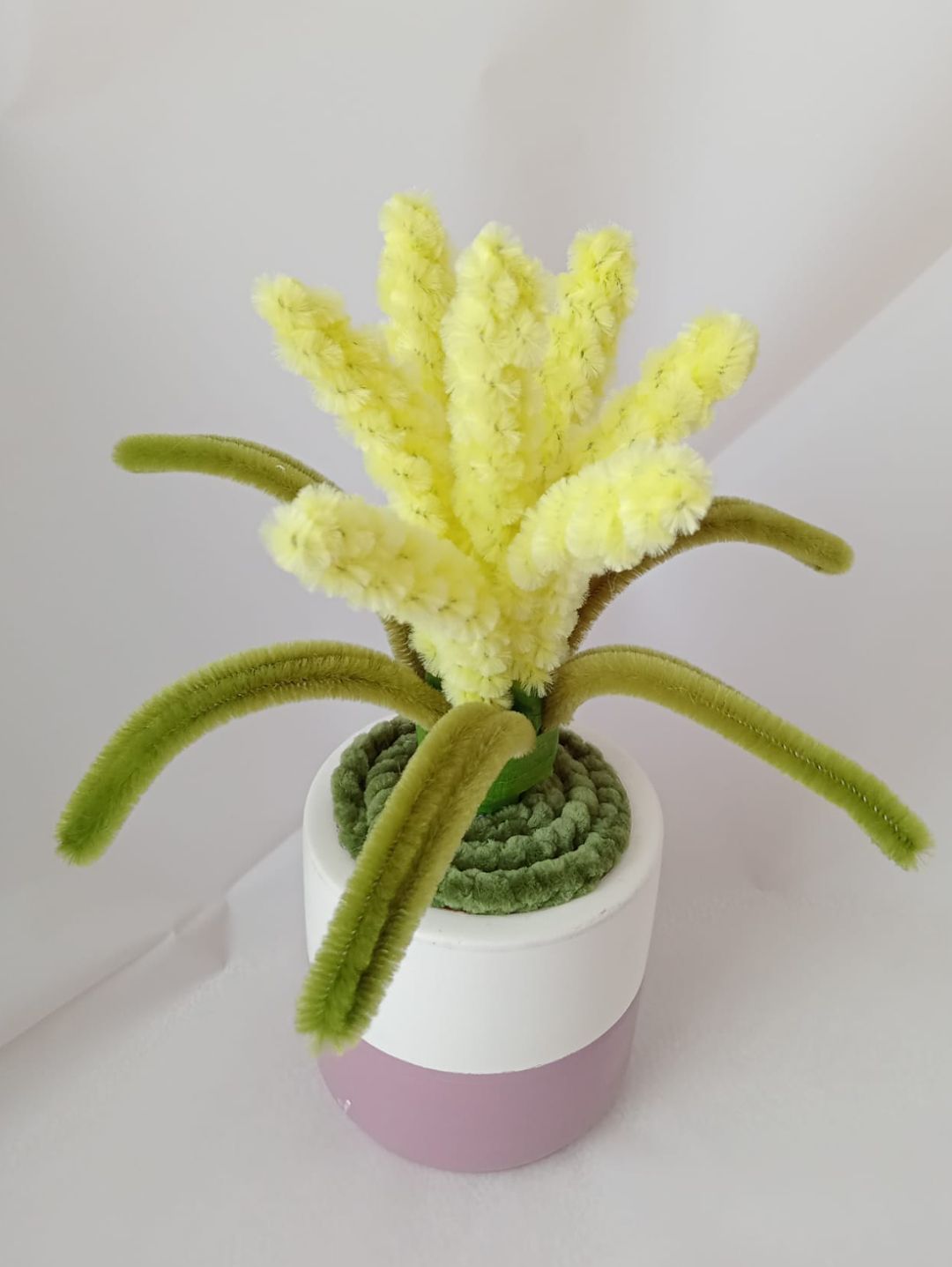 solmayan-dekoratif-mini-saksili-lavanta-cok-renkli