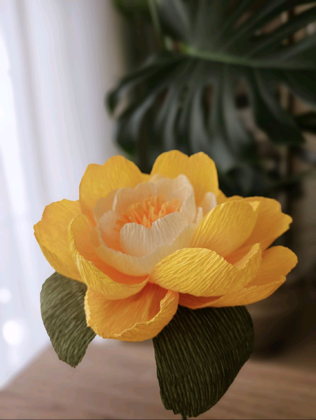 summer-sun-peony-sari