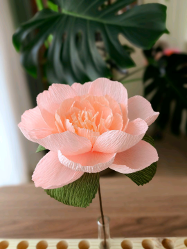 Vanilla Scent Peony Kağıt Çiçek Sanatı  Pastel Pembe