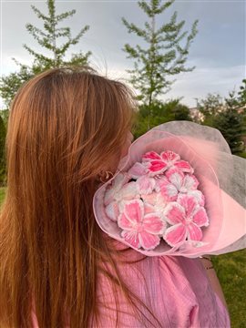 Pembe Rüya Pembe