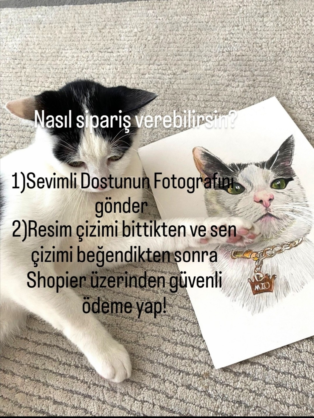 kisiye-ozel-kedi-potresi-beyaz