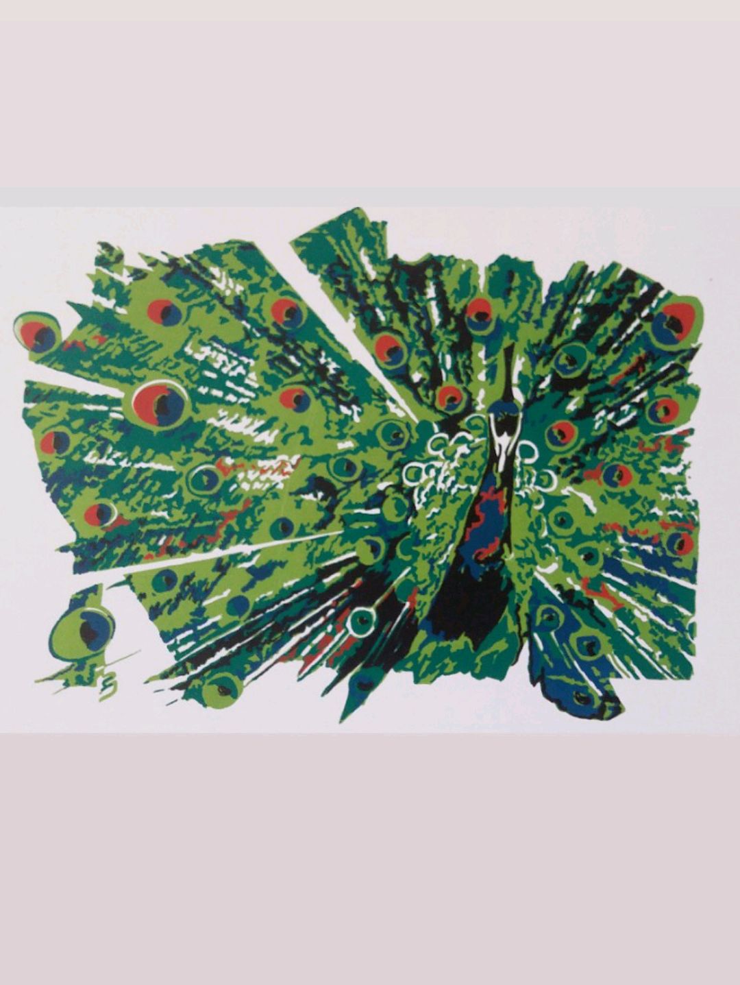 sanatsal-serigrafi-baski-tavuskusu-cok-renkli