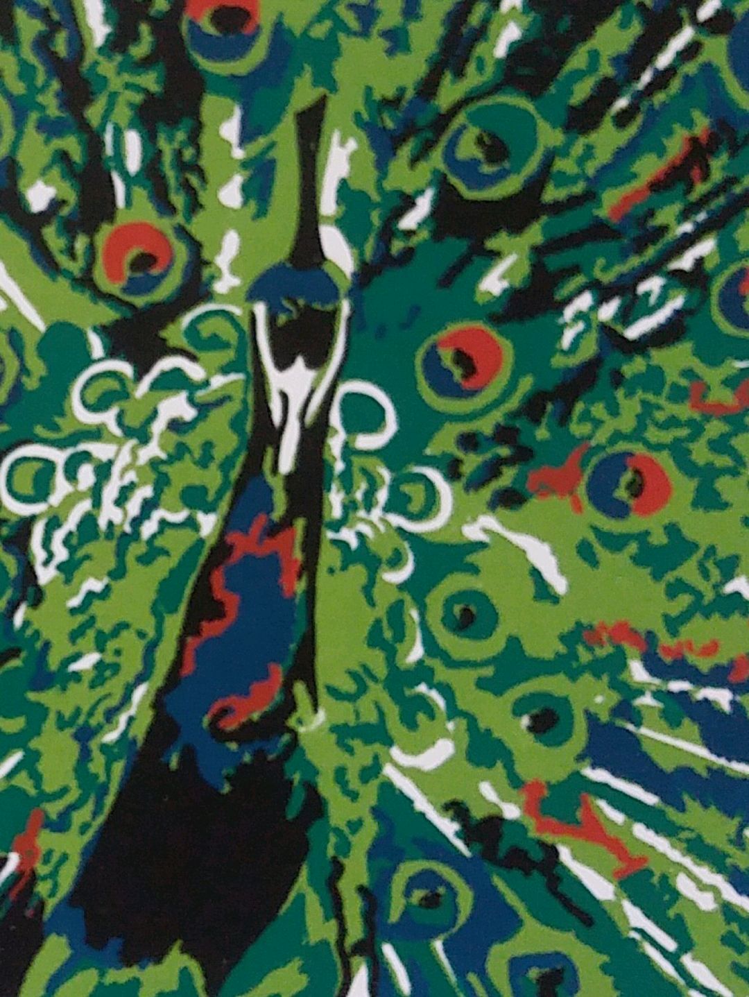 sanatsal-serigrafi-baski-tavuskusu-cok-renkli