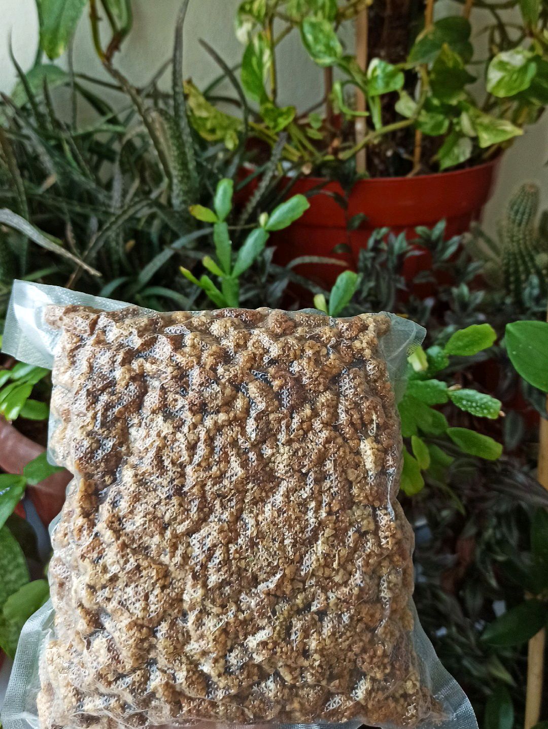 kuru-dut-1-kg